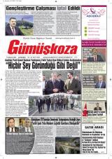 GÜMÜŞKOZA