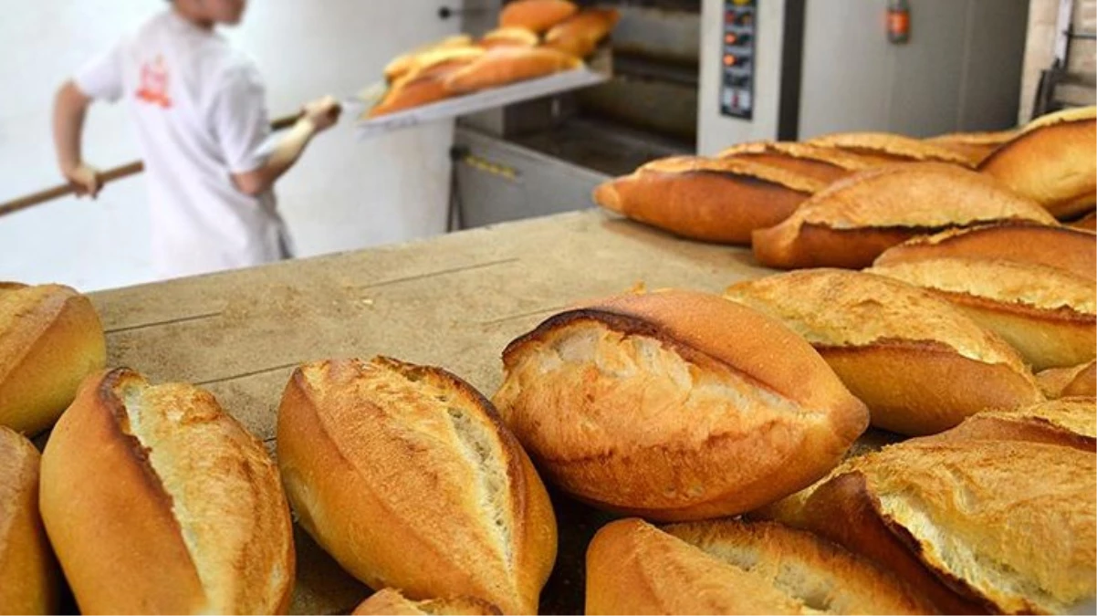 İstanbul’da ekmeğe zam iddialarının ardından Valilik harekete geçti! 116 fırına ceza kesildi