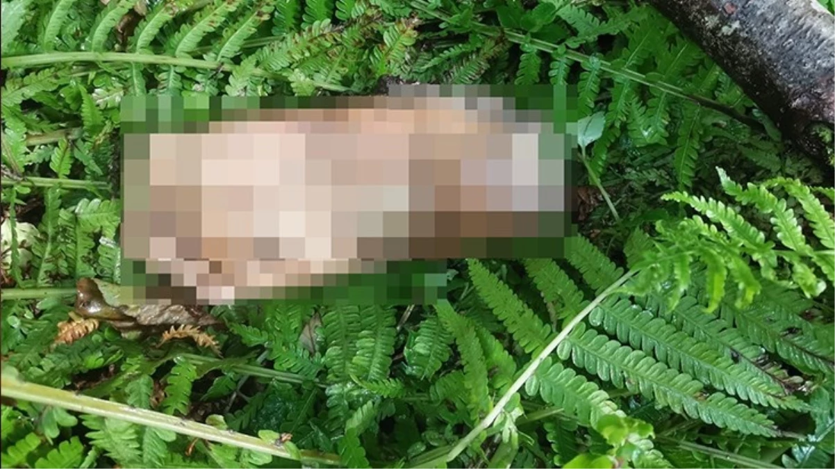 Köylüler dere kenarında insan ayağı buldu! Belediyenin yaptığı anonsu duyanlar kulaklarına inanamadı