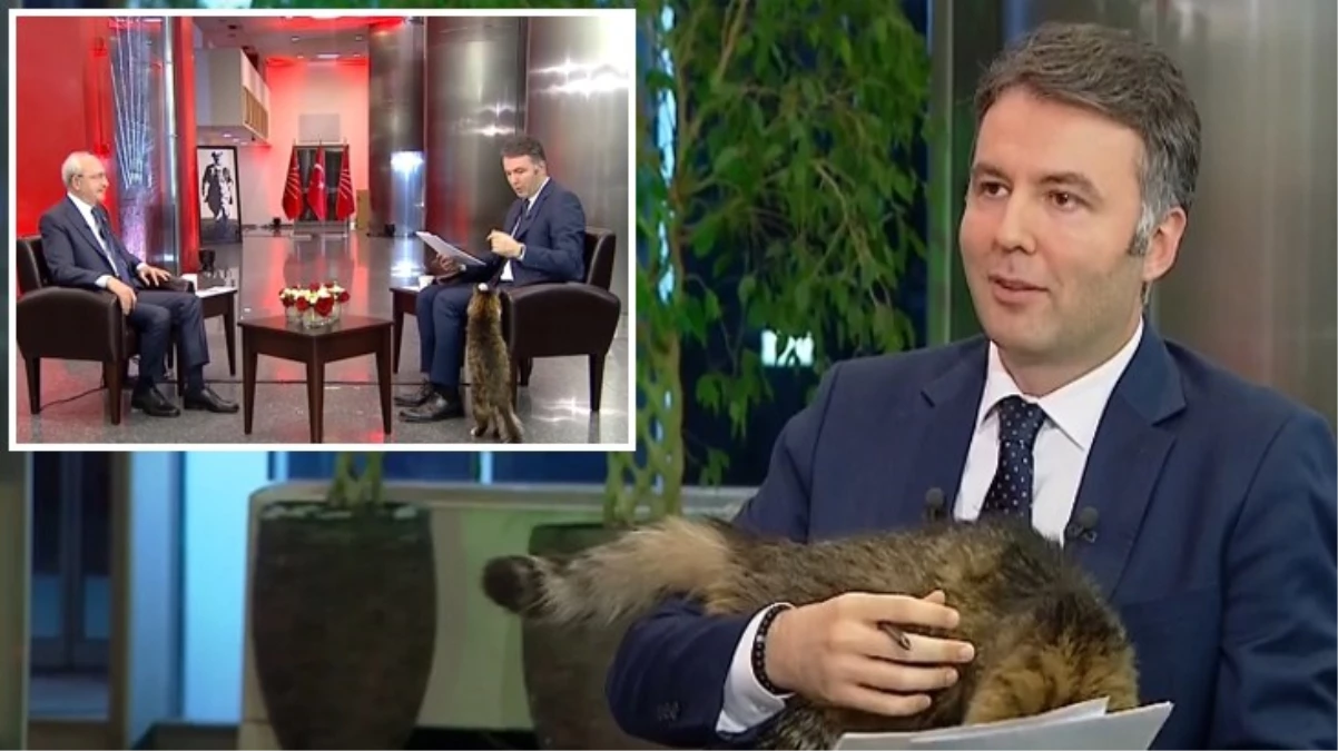 Mehmet Akif Ersoy’un en zor yayını! CHP’nin kedisi gelip kucağına oturdu