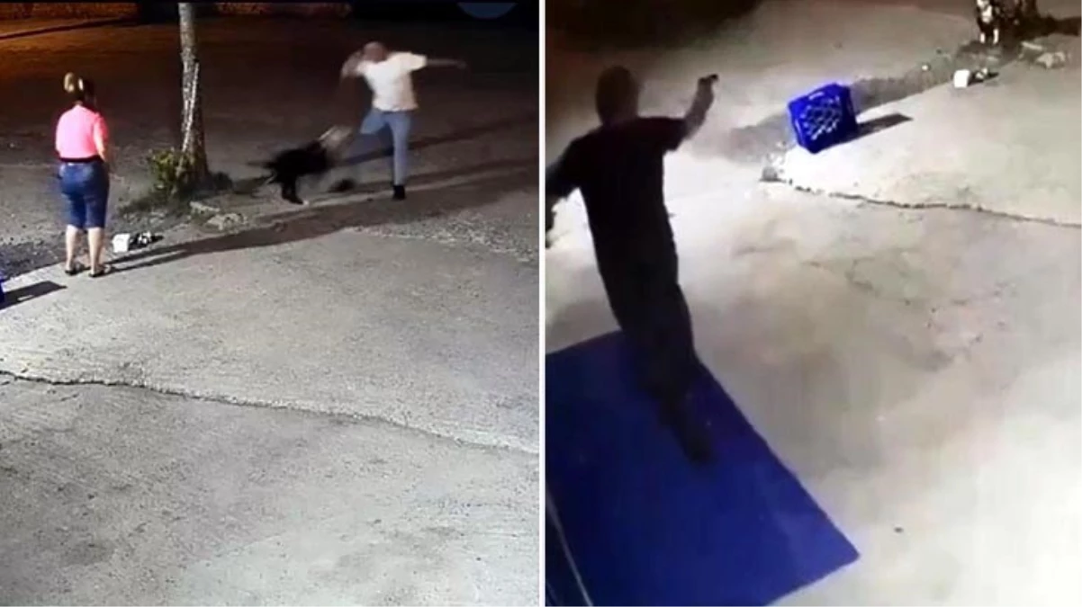 Sakarya’da ağaca bağlı köpeği öldüren şüpheli tutuklandı