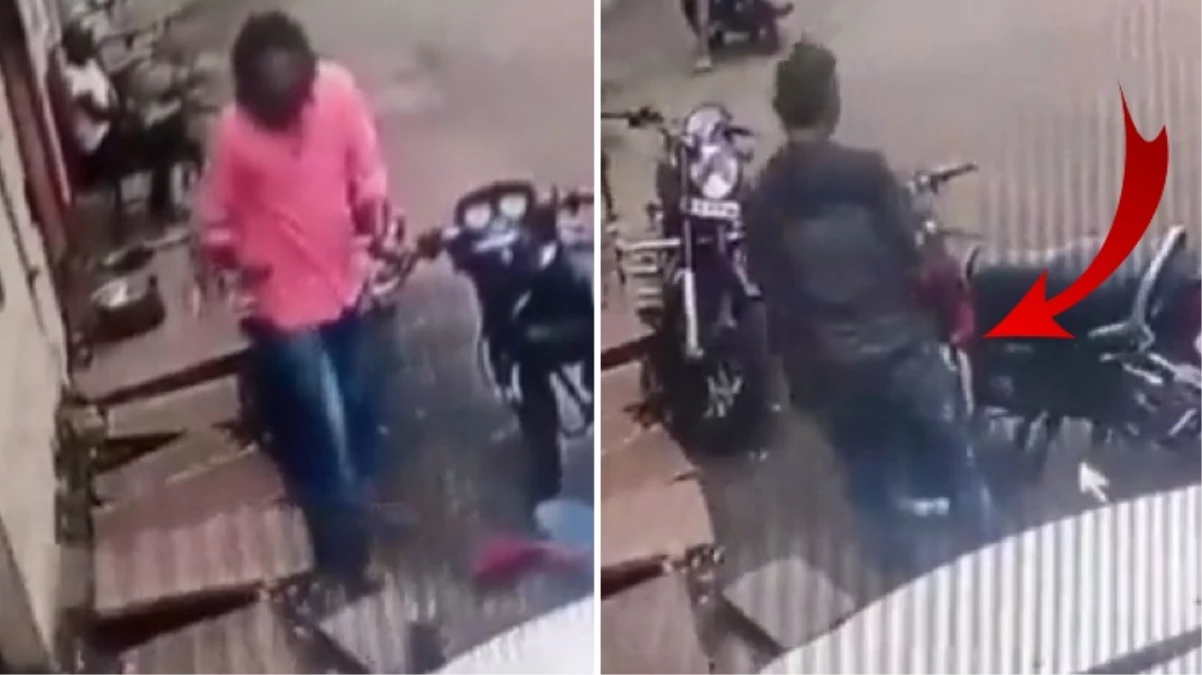 Hindistan’da kobra yılanın ısırdığı motosikletli adam hayatını kaybetti