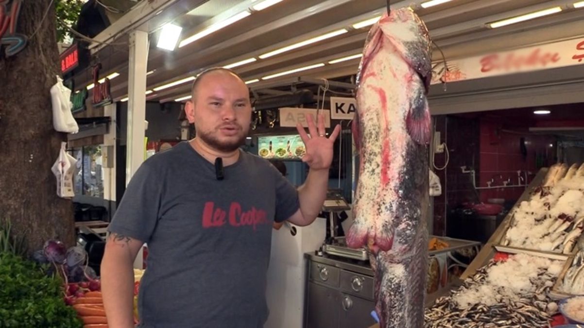 Yeşilırmak Nehri’nde oltayla 55 kilogramlık dev yayın balığı yakalandı