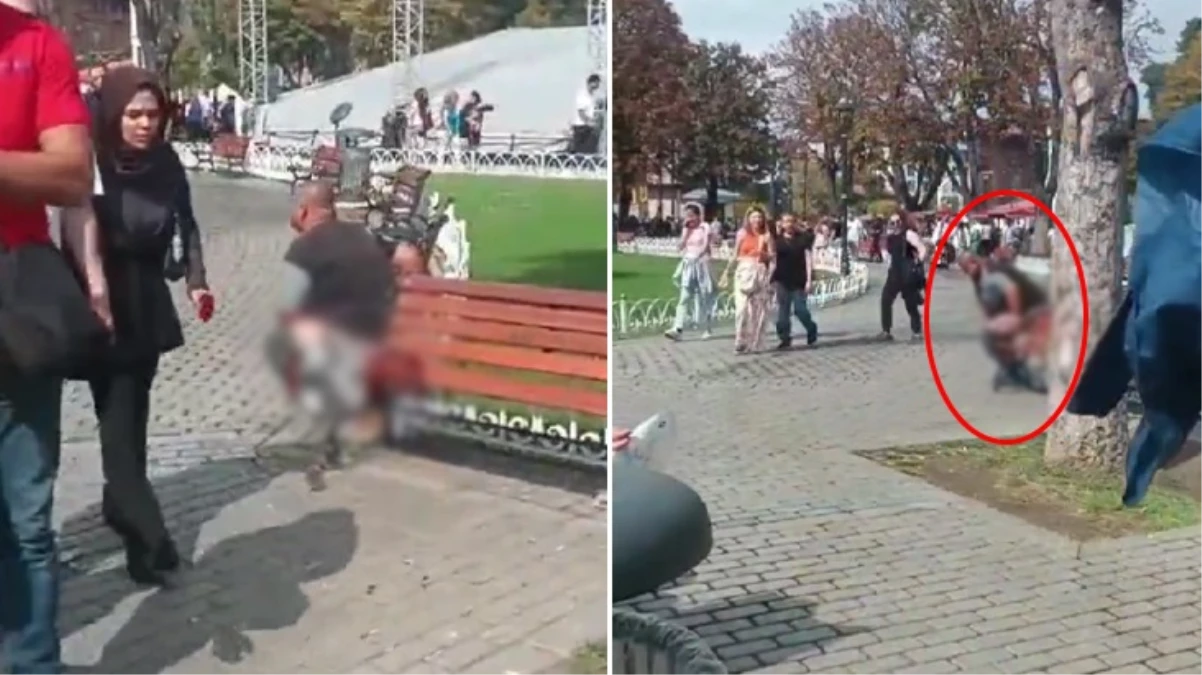 Topkapı Sarayı’nda skandal görüntü! Herkesin gözü önünde pantolonunu indirip tuvaletini yaptı