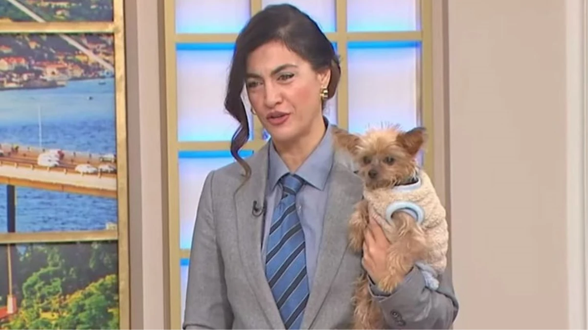 Tuğba Ekinci’den skandal sözler: Kadın kuyruk sallamazsa erkek bir şey yapmaz