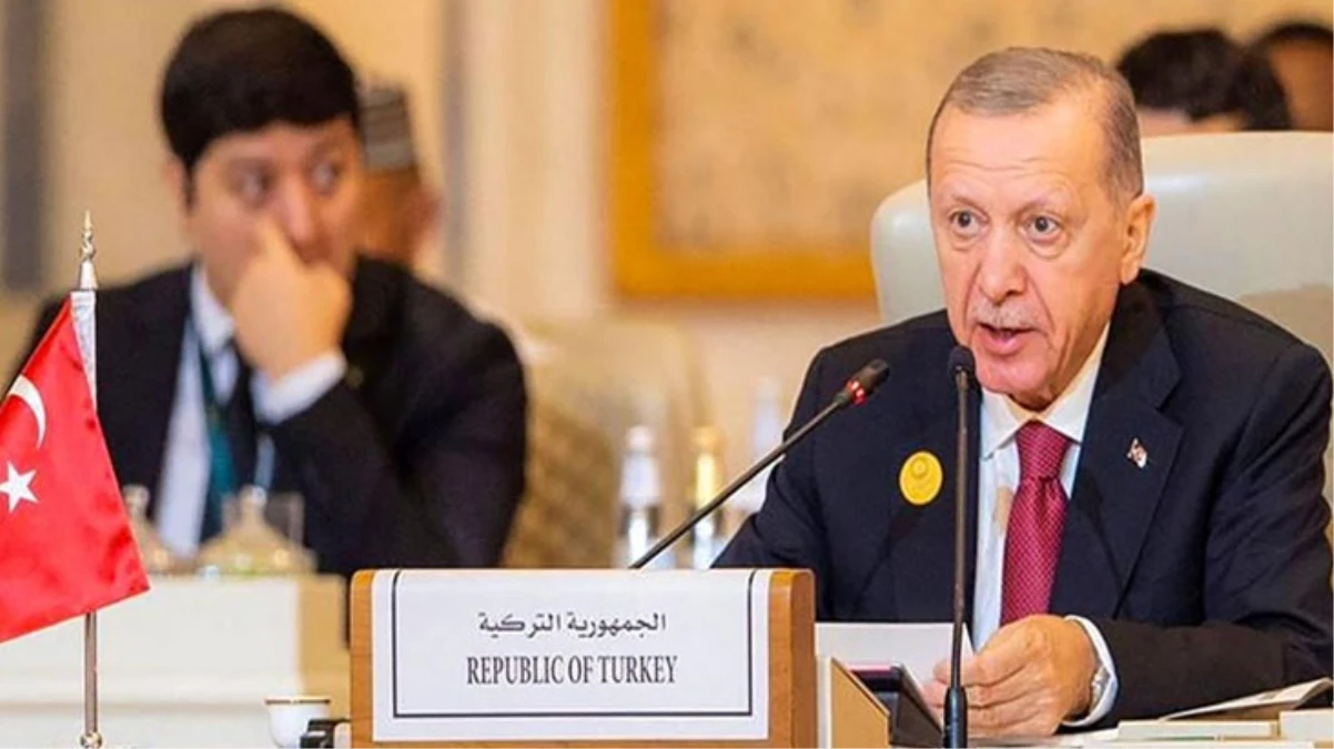 Almanya, Cumhurbaşkanı Erdoğan’ın ziyaretini tartışıyor: Türkiye zor ama vazgeçilmez ortak