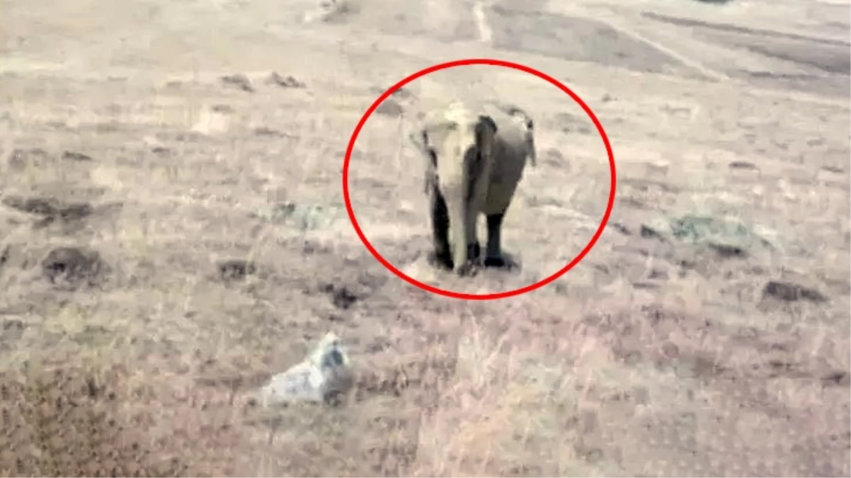 Ardahan’da filin görüldüğü iddia edilen köyün muhtarı konuştu
