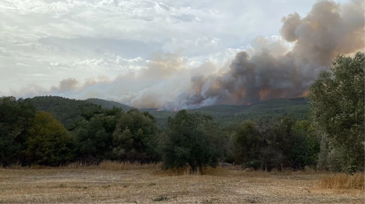 Çanakkale’de orman yangını! Bir köy boşaltıldı
