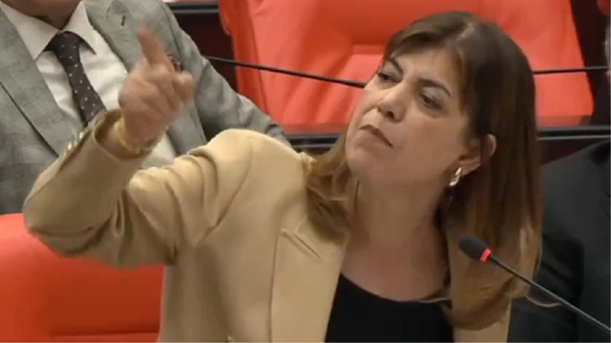 HEDEP’li Meral Danış Beştaş’tan AK Partili vekile tepki: Terörist babandır, senin alnını karışlarım