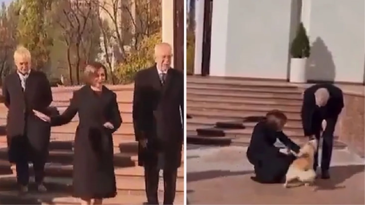 Moldova Cumhurbaşkanı Maia Sandu’nun köpeği, Avusturya Cumhurbaşkanı Alexander Van der Bellen’i ısırdı
