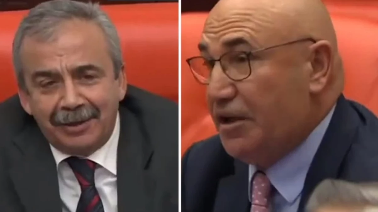 Şanlıurfa’nın sorunlarını anlatan Tanal’a Sırrı Süreyya Önder’den güldüren cevap