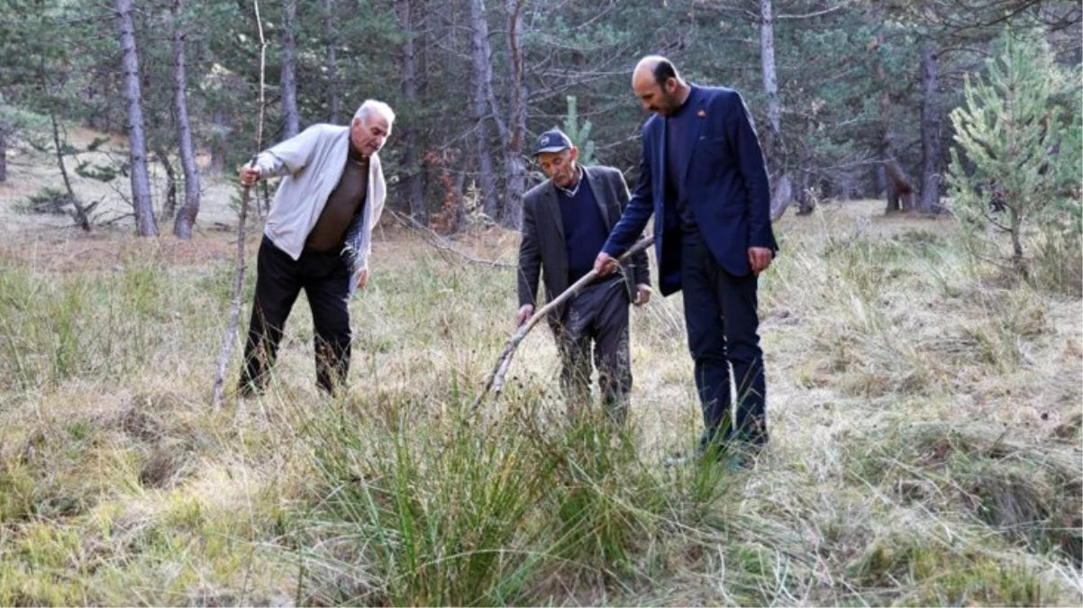 Sivas’ta petrol heyecanı! Nereyi kazsan fışkıran esrarengiz sıvı köylüleri umutlandırdı