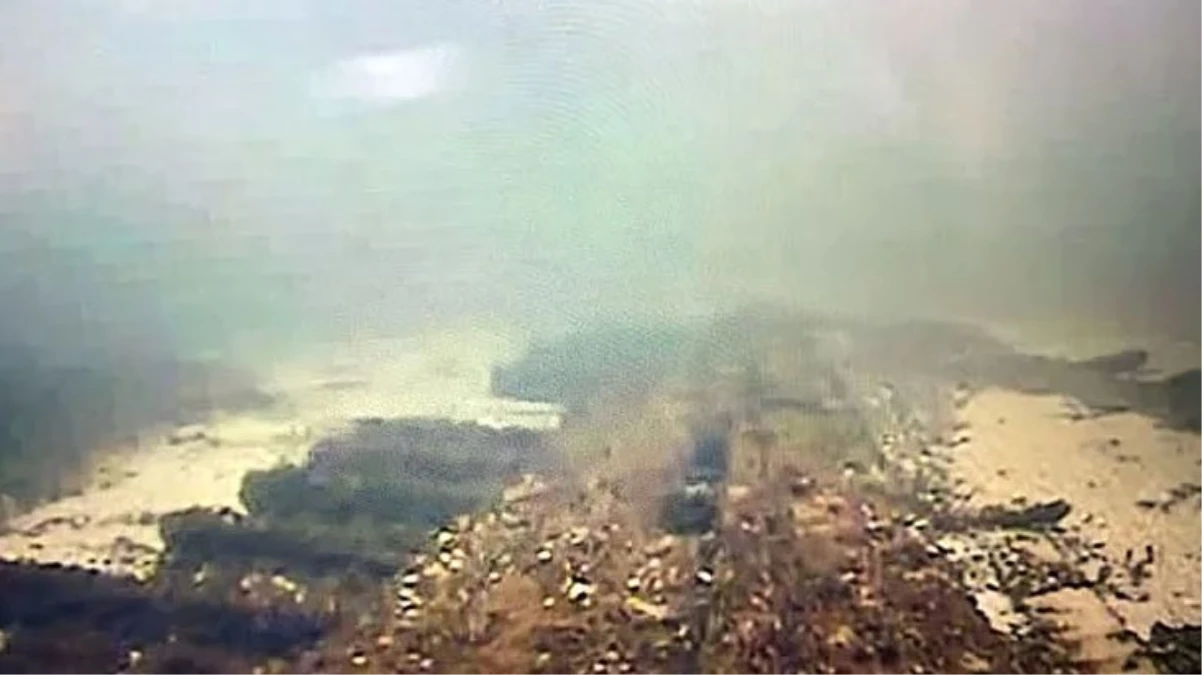 Amerika’da baba ve kız, balık avlarken 150 yıllık gemi enkazı buldu