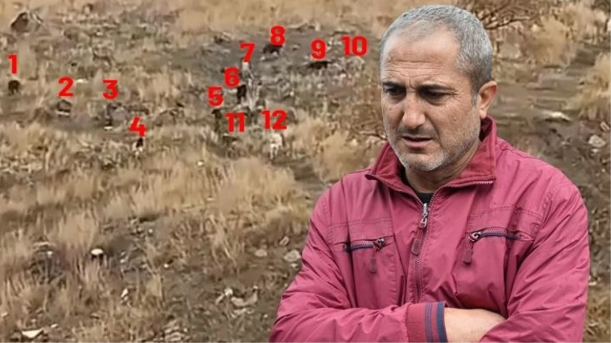 Ankara’da köpeklerin saldırısına uğrayan 9 yaşındaki çocuk ıssız yolda neden tekti? Baba eleştirilere yanıt verdi