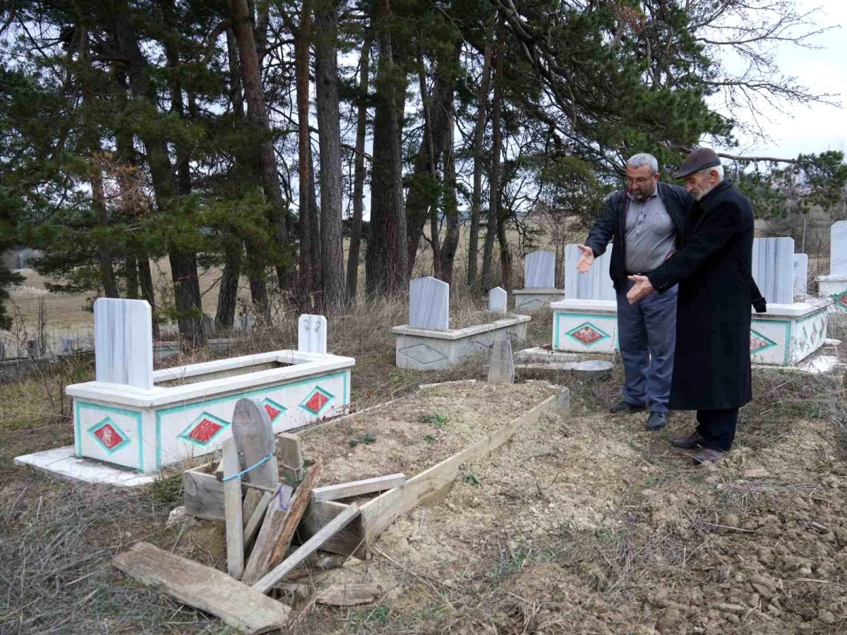 Kastamonu’da ayılar mezarlara dadandı! Vatandaşlar jiletli telle cenazelerini koruyor