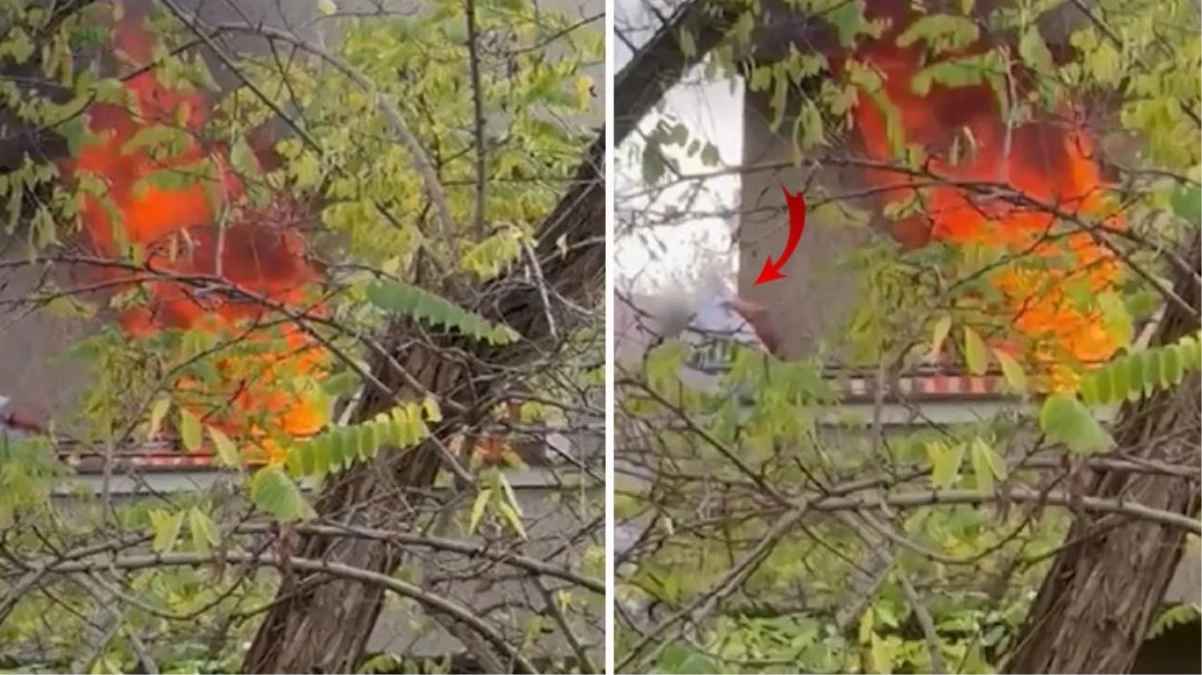 Kocasını yatağa kelepçeleyip evi ateşe verdi! Adam yatakla birlikte kendini balkona attı