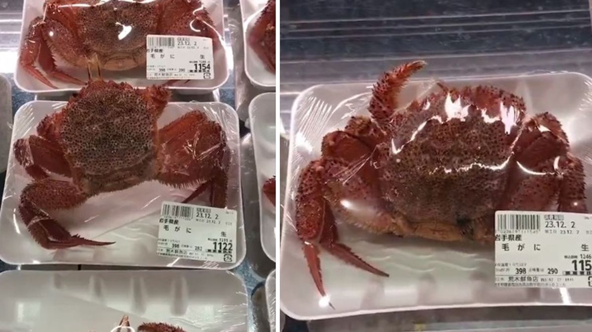 Markette satılan yengeç, paketin içinde canlandı