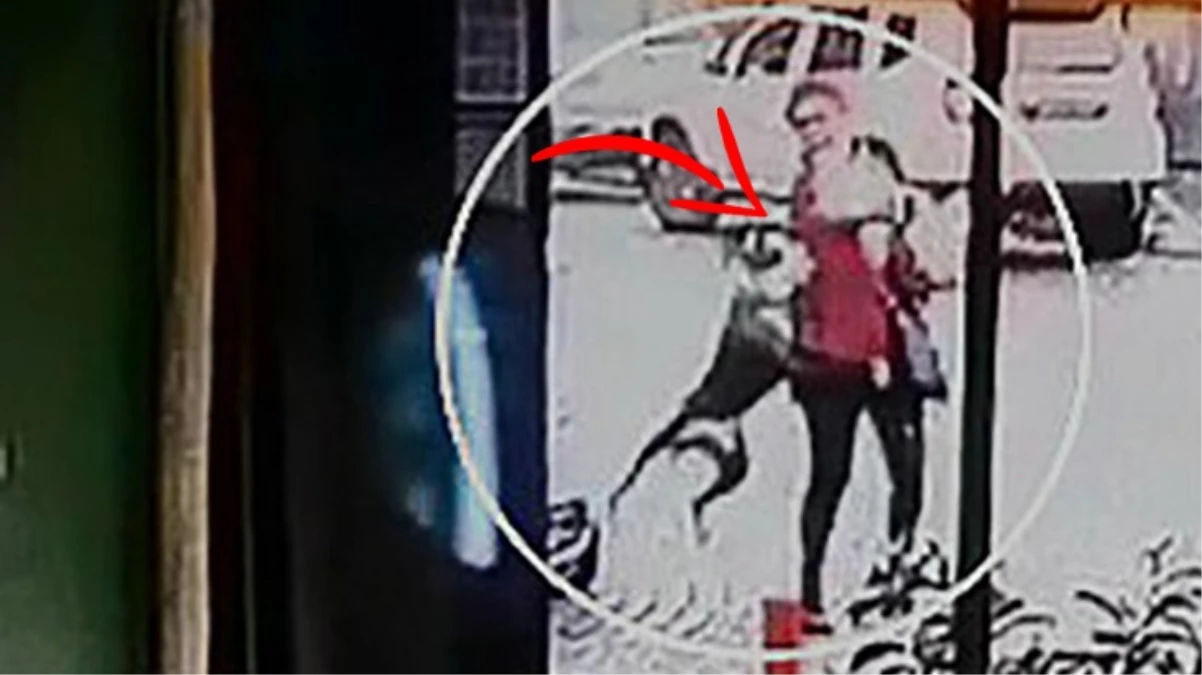 Ölümle burun buruna! Pitbull sokak ortasında kadının kolunu parçaladı