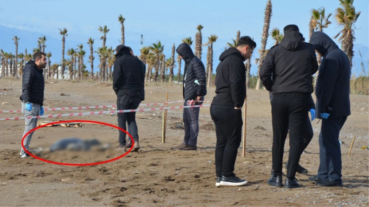 Antalya sahillerinde bulunan ceset sayısı 8’e yükseldi