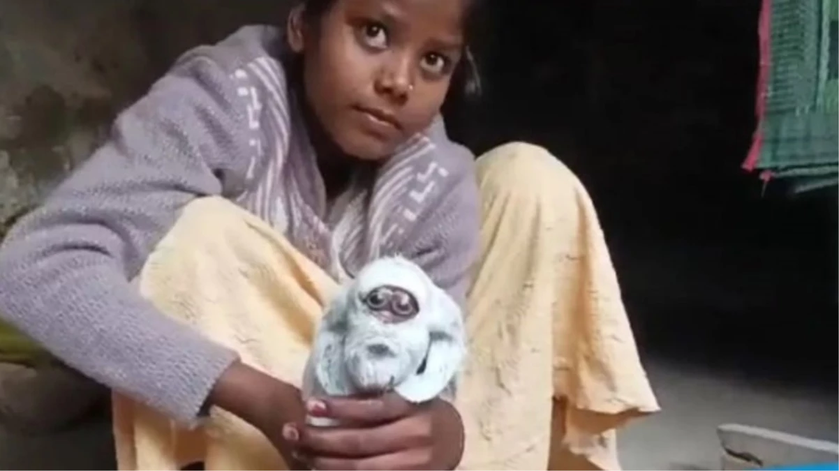 Hindistan’da yüzü insan yüzüne benzeyen keçi doğdu