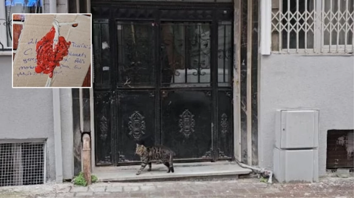 İstanbul’da Özbekistanlı kadınlara evde bıçaklı saldırı: 1 ölü, 1 yaralı