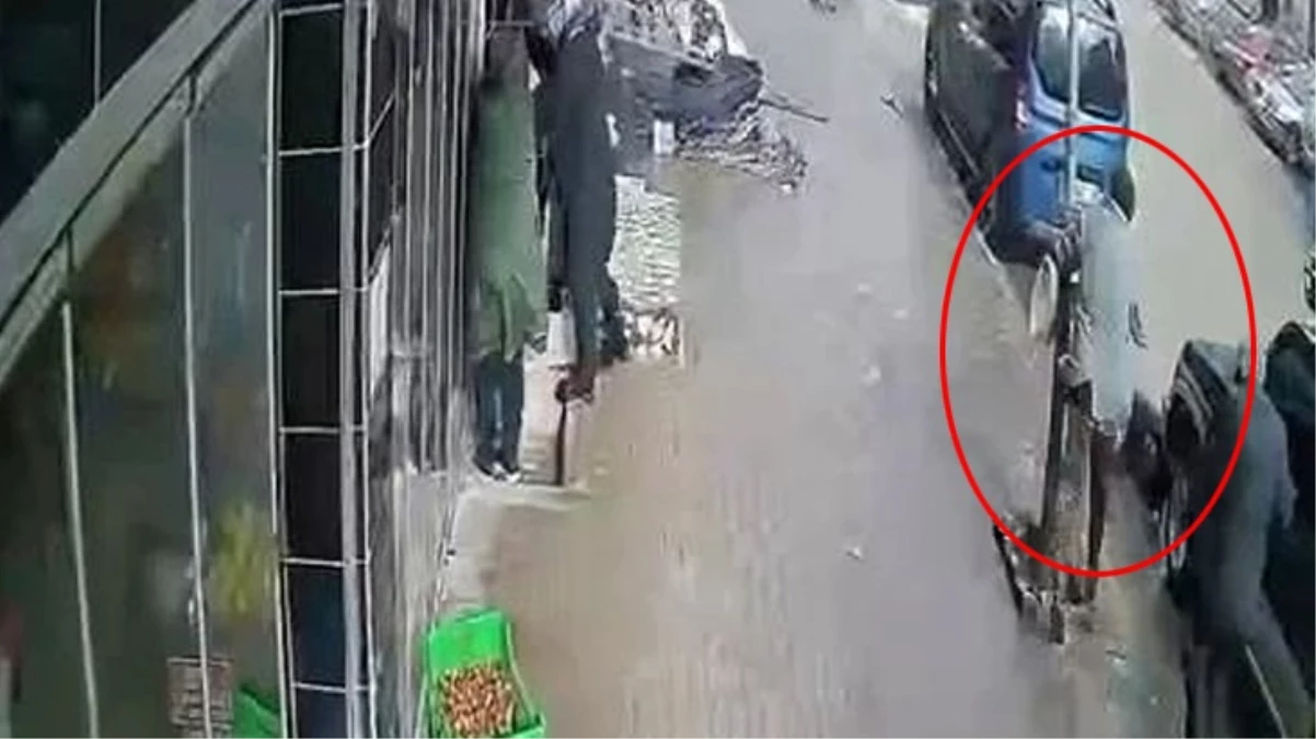 Ordu’da fırtına nedeniyle bir kişi ağaca tutunarak durabildi