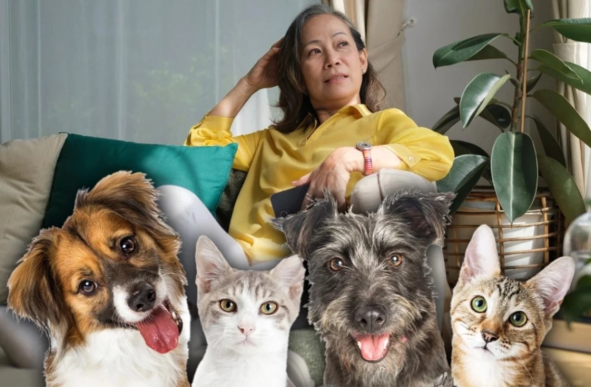 Kendisi ile ilgilenmeyen çocuklarına kızıp servetini evcil hayvanlarına bıraktı