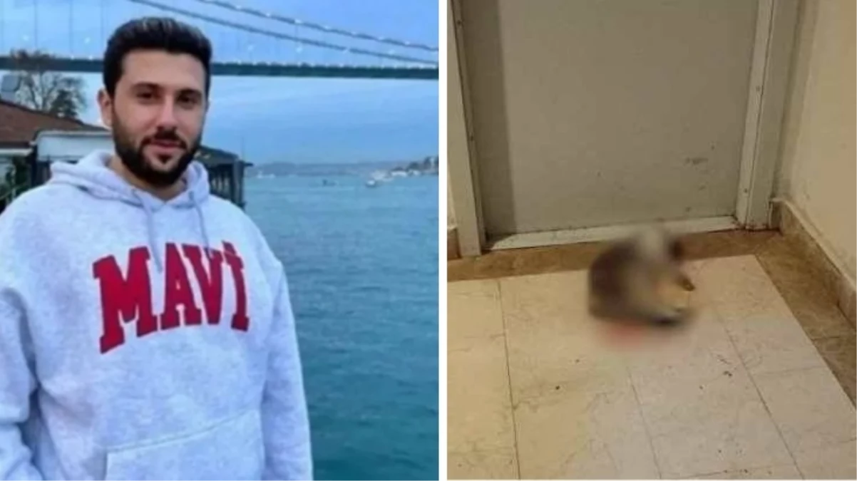 Başakşehir’de sitedeki kediyi işkenceyle öldüren İbrahim Keloğlan hakkında verilen karar kaldırıldı