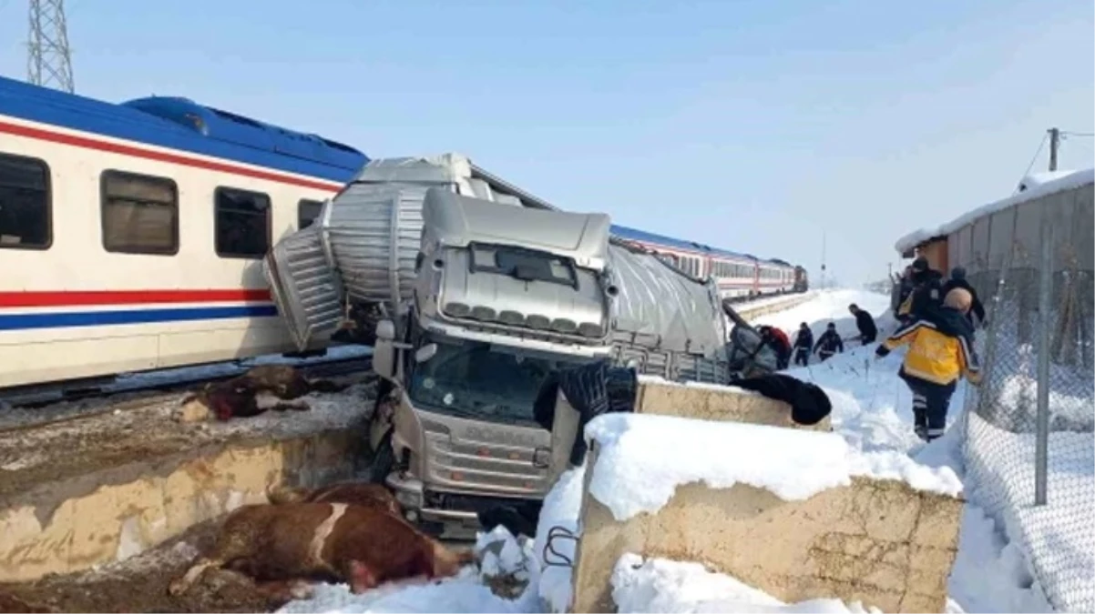 Hayvan yüklü TIR’a tren çarptı: Ölü ve yaralılar var