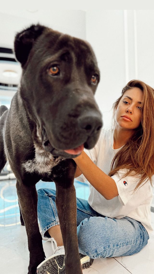 Köpeği, başka bir köpeği öldüren Banu Parlak'tan açıklama: Oyun oynamak için yanına gitti