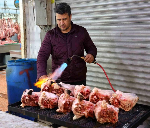 Bir zamanlar çöpe atılıyordu! Kilosu 50 lira olan koyun kulağı Adana'da yok satıyor