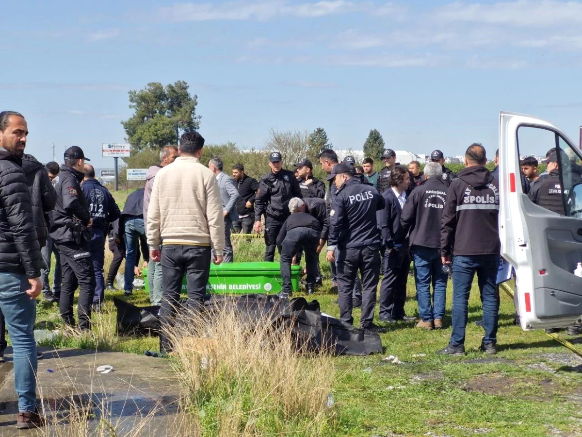 Hatay'da otomobil ile tır çarpıştı! Aynı aileden 6 kişi öldü, 1 kişi yaralandı