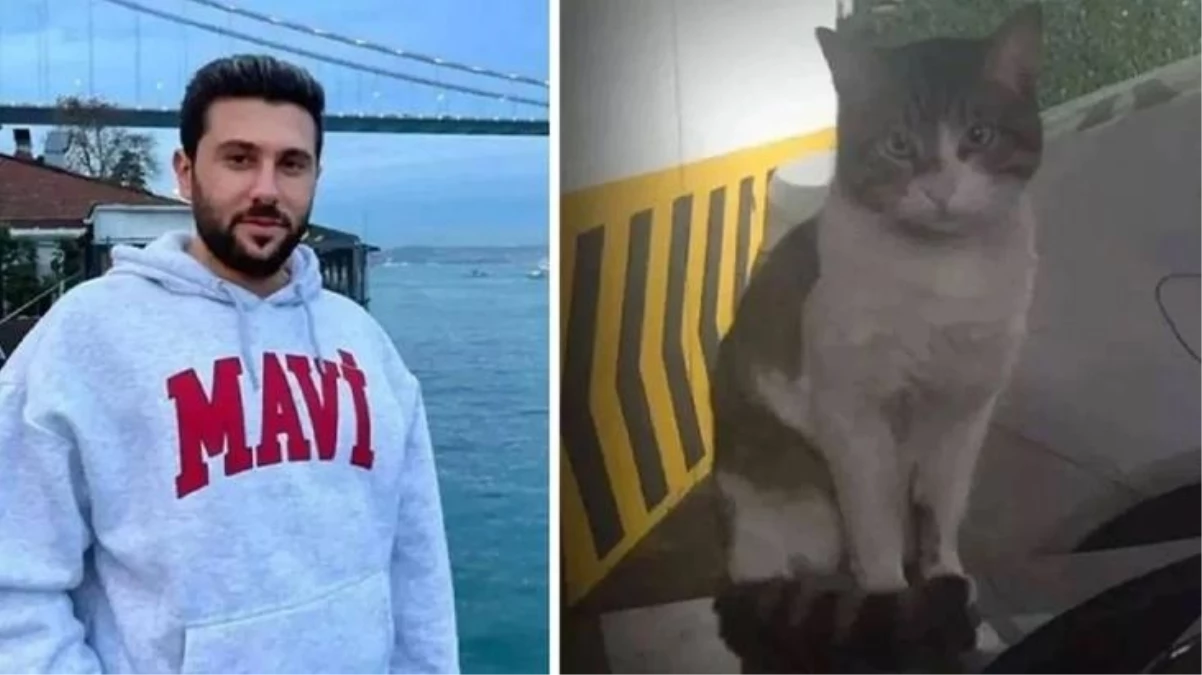 Kedi Eros’u vahşice öldüren İbrahim Keloğlan adli kontrol şartıyla serbest bırakıldı