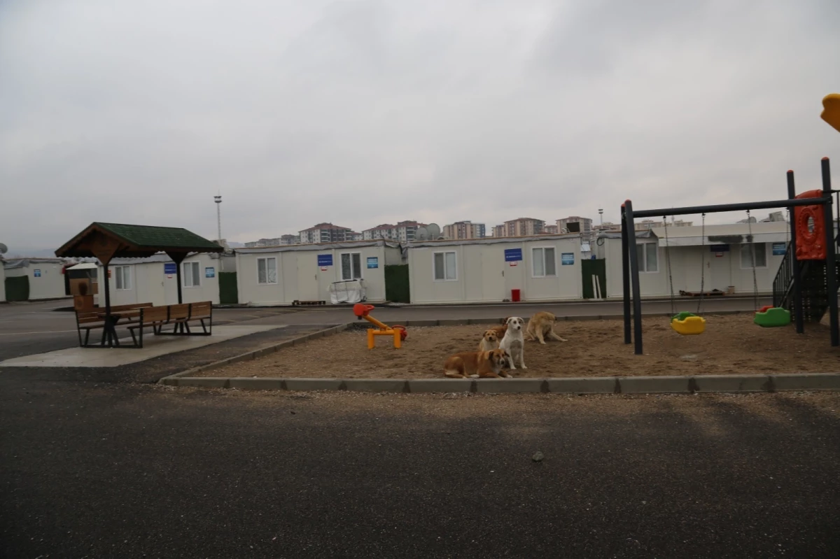 Malatya’da 7 yaşındaki kız çocuğuna cinsel istismarda bulunan şüpheli tutuklandı