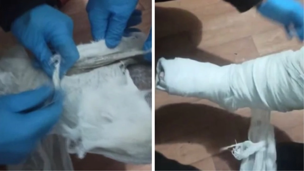 Muş’ta durdurulan otobüste, bir yolcunun ayağındaki alçıdan eroin çıktı