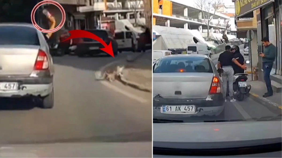 Seyir halindeki araçtan, kedinin üzerine şişe fırlatan kişiye 2 bin lira para cezası