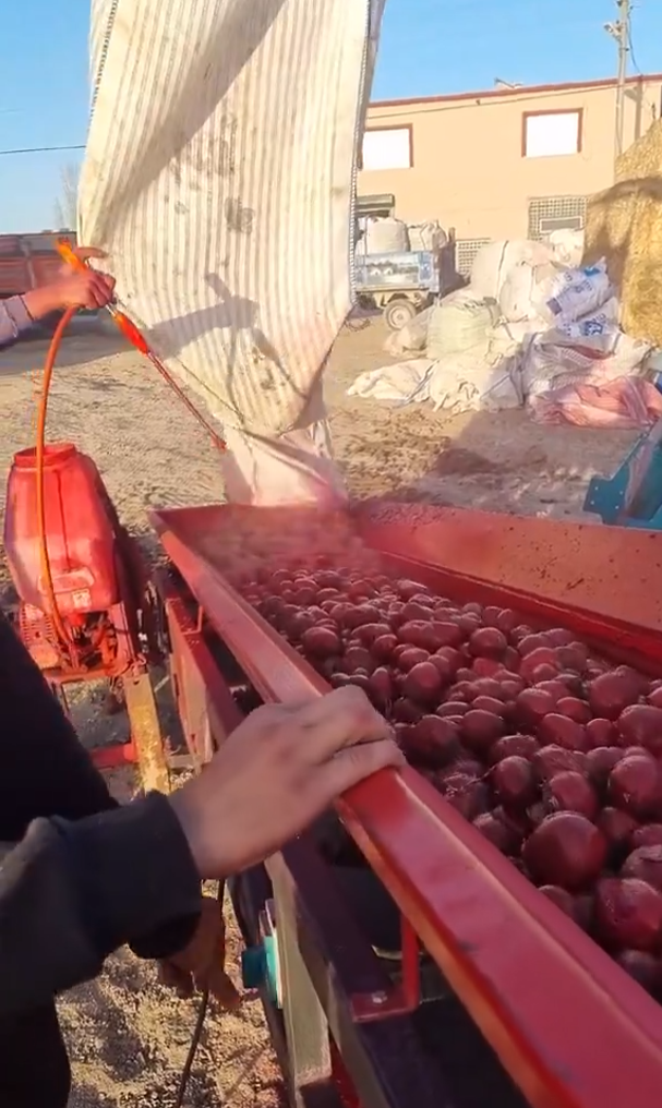 Üreticilerin paylaştığı patates ilaçlama görüntüleri tepki çekti