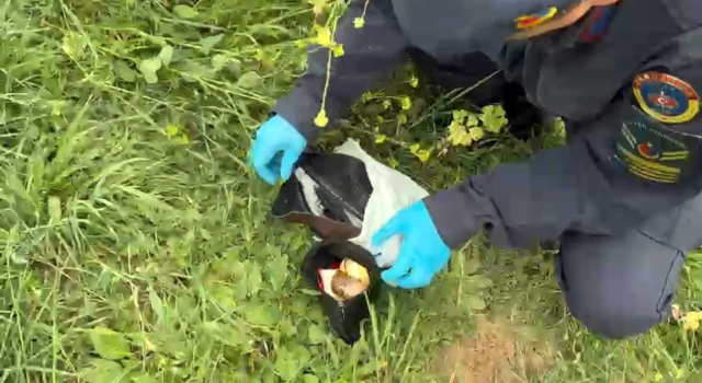 Sokak köpeği çalındığı sanılan çantayı alarak gitti