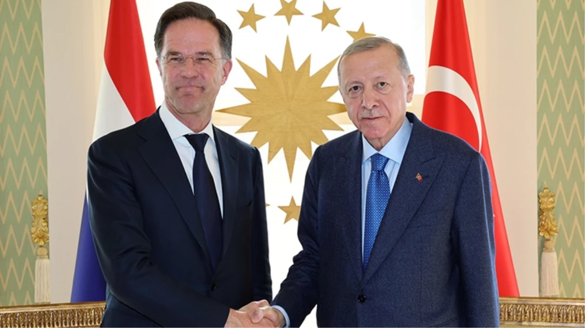 Cumhurbaşkanı Erdoğan ve Hollanda Başbakanı Rutte'den ortak basın toplantısı