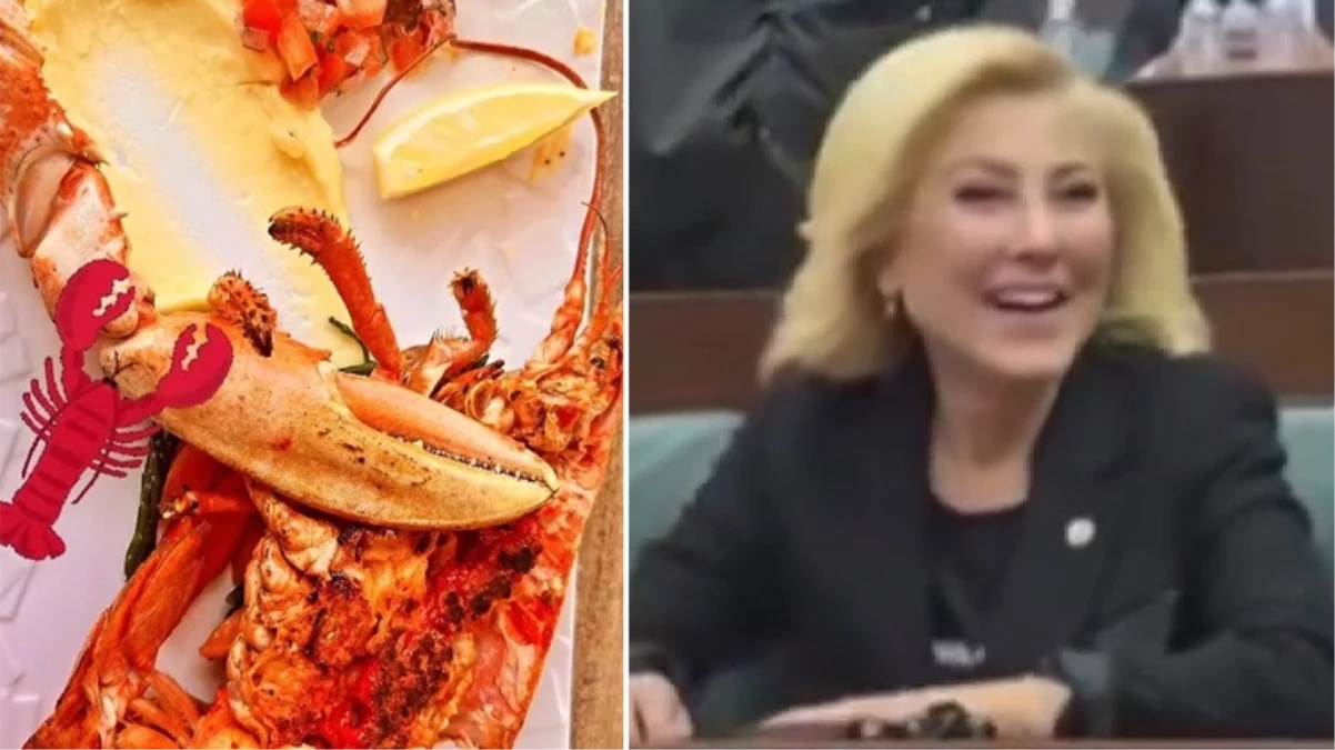 AK Partili Şebnem Bursalı “ıstakoz” krizi sonrası ilk kez görüntülendi