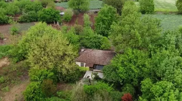 Kayıp ekonomist Korhan Berzeg'le ilgili hayvan saldırısı şüphesi