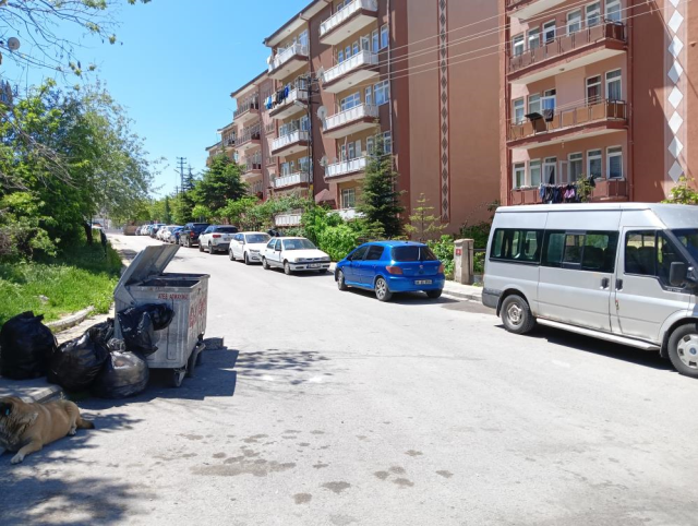 15 yaşındaki çocuk, ablasını sırtından bıçaklayarak öldürdü