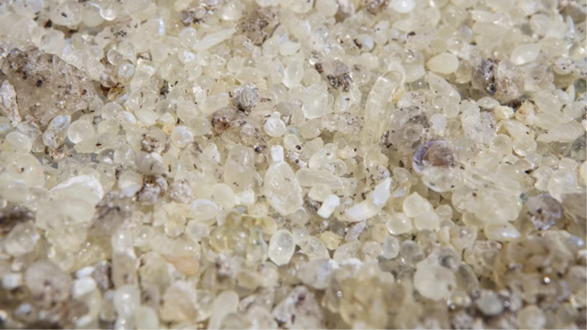 “Çeşme damla sakızı” coğrafi işaretle tescillendi! Dünyada 3 pazarda alıcısı var