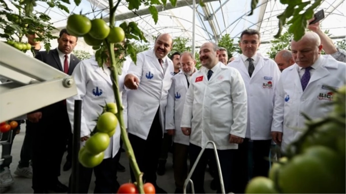 Erzurum’a, Antalya iklim şartlarına göre sera! Isıtma için günde 3 ton kömür yakarak belediyeyi milyonlarca lira zarara uğrattılar