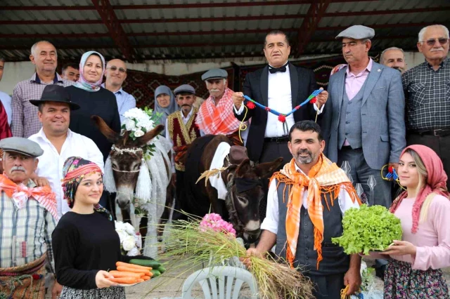 Bunu da gördük! Eşeklere düğün yaptılar, yetmedi traktöre bindirip balayına gönderdiler