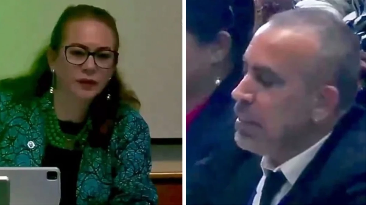 Haluk Levent, Birleşmiş Milletler konferansında İsrail ve Netanyahu’yu kınadı