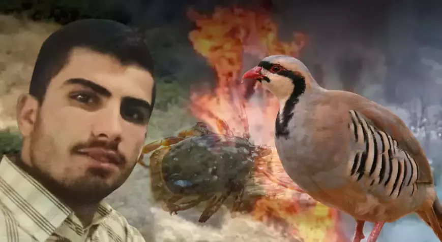 Yastıkta Kene Gördü, 120 Dönüm Araziyi Yaktı! Uzman Uyardı!
