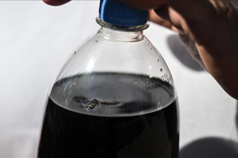 Ankara’da kolasından ölü arı çıktı, ABD’li firmaya dava açtı