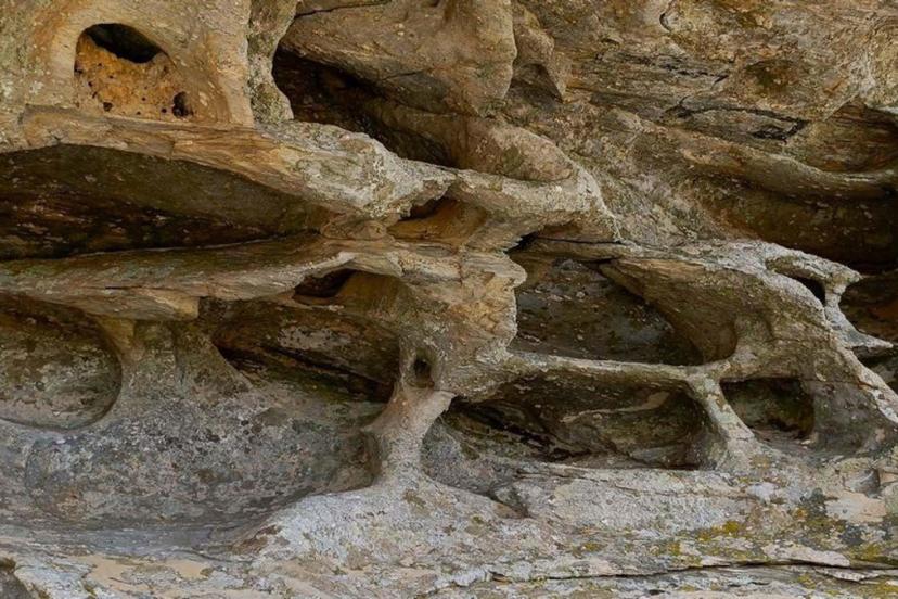 Aydın’da 8 bin yıllık keşif: Resimli kaya ‘sit alanı’ ilan edildi