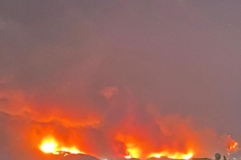 Bursa’da Korkutan Orman Yangını: İki İlçe Kül Oldu